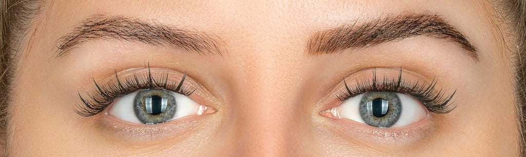Eylure DYBROW Dark Brown Eyebrow Dye Kit Long Lasting Brow Tint